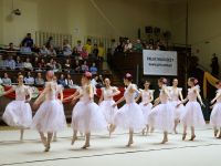 zespół taneczny baletowy na scenie