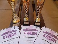 dyplomy i statuetki dla laureatów konkursu