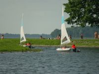 Pieczarki(11)